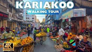 Inside the Biggest Market in Tanzania  Kariakoo Market Walking Tour [4K]