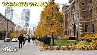 Walking all of College Street - Dundas to Downtown [4K Toronto walk]