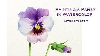 Watercolor Pansy - Time Lapse