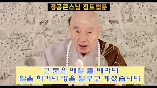 염불삼매 공부가 등급이 있습니다. 정공큰스님 정토법문