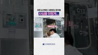 사심을 이렇게..? 오히려 좋아 #동물병원 #고려동물메디컬센터