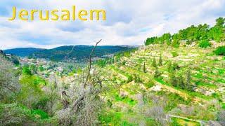 JERUSALEM NATURE. Beautiful Relaxing Music for Stress Relief