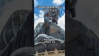 사람 때문에 힘들 때 듣는 부처님의 조언 | 법화경·자비