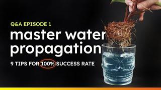 9 Reasons Why Your Water Propagations Always Fail