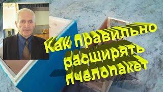 Профессор Кашковский: как правильно расширять пчелопакет?