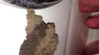 Termites In Bathroom II