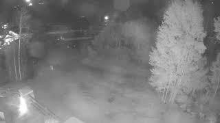 Steinlodge SkiCam