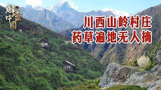 There are 97 poor villages in the beautiful mountains and forests on the Western Sichuan Plateau