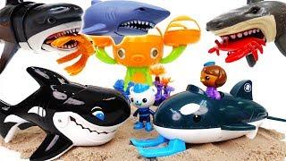 Shark Attack~! Octonauts GUP-O Rescue Sea Creatures With Orca - ToyMart TV