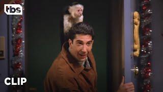 Friends: Ross Gets A Pet Monkey Named Marcel (Season 1 Clip) | TBS