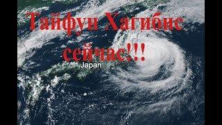 Тайфун в Японии прямо сейчас!