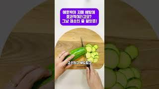 애호박이 치매 예방에 효과적이라고요? 그냥 채소인 줄 알았죠! #애호박효능 #건강식품 #레시틴