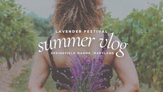 Savor the Best of Maryland Summers at Springfield Manor Lavender Festival | illustratedbySade.com