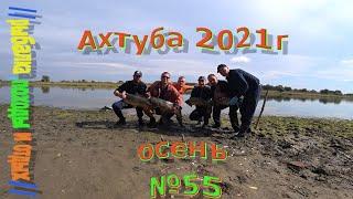 ахтуба 2021 . Ловля сазана на жмых !!! Трофейный сом !!! Рыбалка осенью в астраханской области