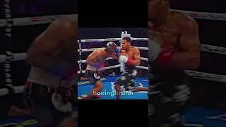 The New  #devinhaney #boxing #shorts