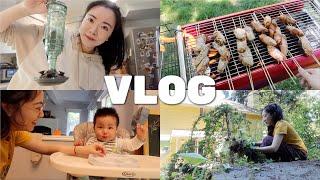 She's Vlog.7 有了小孩后生活的变化️享受夏天的微风、蝉鸣、院子和烤肉！