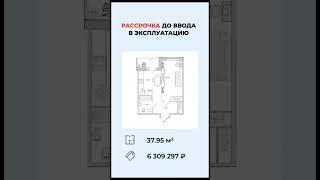 Квартиру лучше покупать в спб #недвижимость #бизнес #юмор