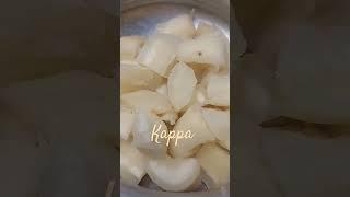 Topioca(kappa) #music #song #sinicooking passion