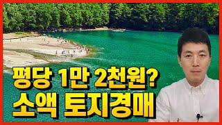 1만 2천원 소액 토지경매 ㅣ 부플러스