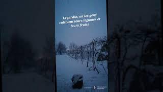 « C’est moi ! Et toi, qui es-tu » - Projet eTwinning