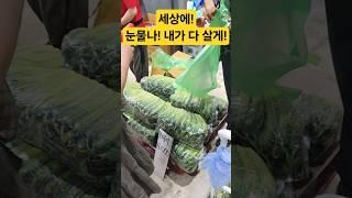 눈물나! 내가 다 살게요! #시장 #맛집 #먹방 #먹거리 #폭락 #세일