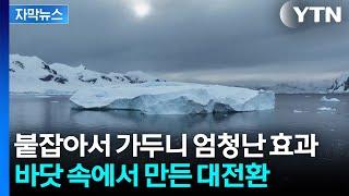 [자막뉴스] '기후 위기' 게임체인저 개발했지만...이미 살아 숨쉬는 거대한 '탄소저장소' / YTN