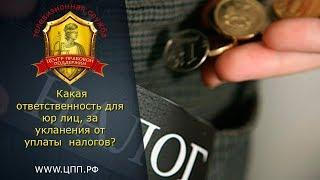 Неуплата налогов! - Какой штраф для юр лиц за неуплату налогов?