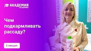 Чем подкармливать рассаду?