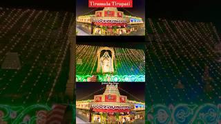 Tirumala Tirupati Balaji Darshan #vaikuntaekadashi #updates #ttd #trending #travel #shortsviral