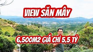 Đất nền Bảo Lộc_View săn mây đỉnh chóp, diện tích 6.500m2 giá chỉ 5.5 tỷ