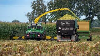 Mais 2024 / John Deere 9900i / H. Reuter / Maisernte