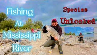 Episode 17: Mississippi river fishing/ species unlocked(BOWFIN)#illiniwekcampingground#carolinarig