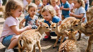 「外国人観光客の子供たちが鹿と遊ぶ」Nara Deer Park in Japan | 奈良日 本旅行|へずまりゅう奈 良公園