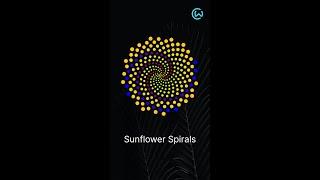 Fibonacci Numbers in Sunflowers