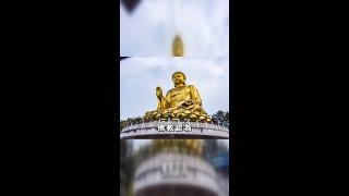 念佛功德殊勝行：百遍念佛，淨化心靈，消除業障