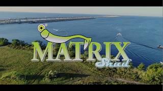 DOCKSIDE TV " Fishing with the matrix minnow!"