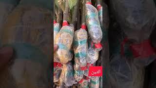 نجاح الترقيد الهوائي ١٠٠٪ لعام ٢٠٢٢