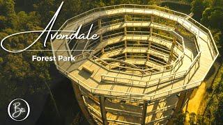 AVONDALE TREETOP WALK & VIEWING TOWER | BEYOND THE TREES | IRELAND | 4K