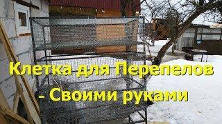 Клетка для перепелов своими руками! Жизнь на даче