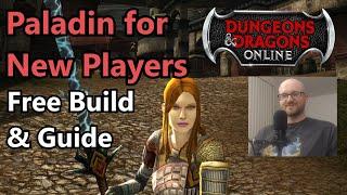 Paladin Starting Build and Guide for New Players