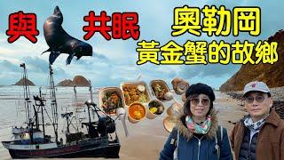 【美國旅遊 ep3】美國西岸旅行｜美國101海岸公路｜海獅環繞的小屋｜玩遍美國奧勒岡｜海鮮小鎮｜Newport Beach |地表最強美國奧勒岡自由行