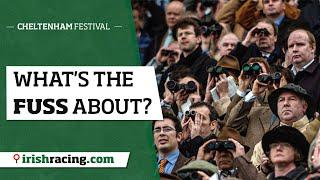 A complete beginner's guide to the Cheltenham Festival