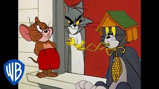 Tom y Jerry en Español  | Los reyes de las travesuras | WB Kids