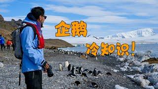 What? Someone really won a Nobel Prize for studying penguin poop? 什麼？真有人因為研究企鵝瑤粑得了諾貝爾獎？