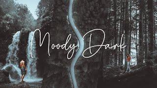 Moody Dark Lightroom Presets Free Dark luts  | AVAWA ( AR Editing Presets - Nil Editing Presets )