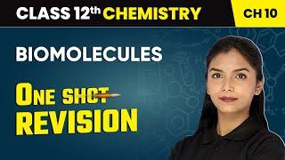 Biomolecules - One Shot Revision | class 12 Chemistry chapter 10 | CBSE 2024-25