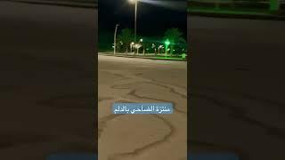 مشاري ملك الترند