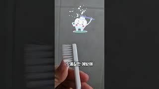 코스트코에서 보이면 꼭 사야할 추천템️ 제품 제공과 소정의 원고료를 지원받아 제작한 영상입니다. #코스트코 #코스트코크리오 #코스트코신상