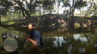 Red Dead Redemption 2_20181124213155