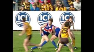 Ultimate AFL: 1990s – Superstars & Highlights